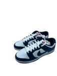 Dunk Low Valerian Blue