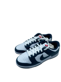 Dunk Low Valerian Blue